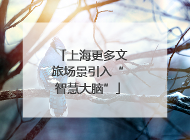 上海更多文旅场景引入“智慧大脑”