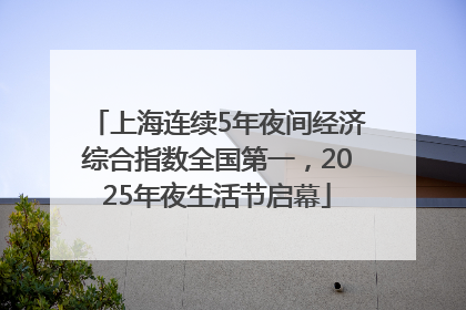 上海连续5年夜间经济综合指数全国第一，2025年夜生活节启幕