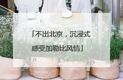 不出北京，沉浸式感受加勒比风情