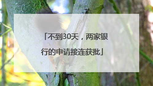 不到30天，两家银行的申请接连获批