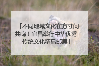 不同地域文化在方寸间共鸣！宜昌举行中华优秀传统文化精品邮展