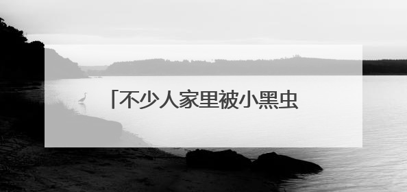 不少人家里被小黑虫“入侵”，墙壁窗户全部爬满！一到晚上更严重，还有一股臭味
