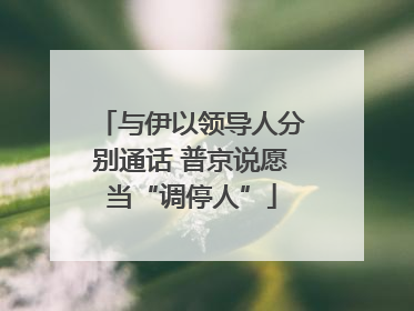 与伊以领导人分别通话 普京说愿当“调停人”