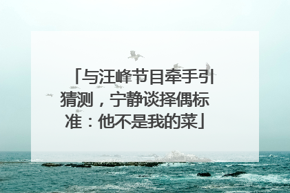 与汪峰节目牵手引猜测，宁静谈择偶标准：他不是我的菜