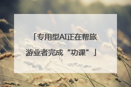 专用型AI正在帮旅游业者完成“功课”
