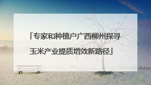 专家和种植户广西柳州探寻玉米产业提质增效新路径