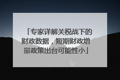 专家详解关税战下的财政数据，短期财政增量政策出台可能性小