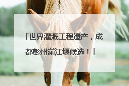世界灌溉工程遗产，成都彭州湔江堰候选！