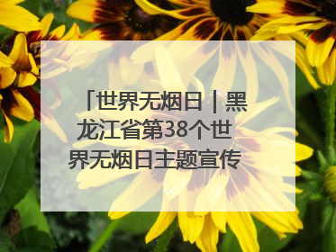 世界无烟日｜黑龙江省第38个世界无烟日主题宣传活动在哈启动