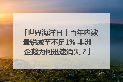 世界海洋日丨百年内数量锐减至不足1% 非洲企鹅为何迅速消失？