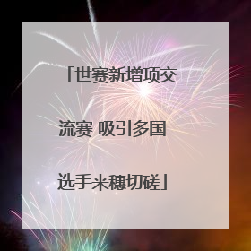 世赛新增项交流赛 吸引多国选手来穗切磋