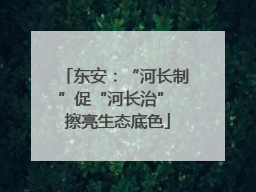 东安：“河长制”促“河长治” 擦亮生态底色