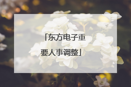 东方电子重要人事调整