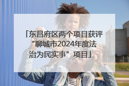 东昌府区两个项目获评“聊城市2024年度法治为民实事”项目