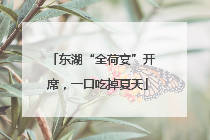 东湖“全荷宴”开席，一口吃掉夏天