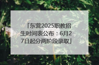 东营2025职教招生时间表公布：6月27日起分两阶段录取
