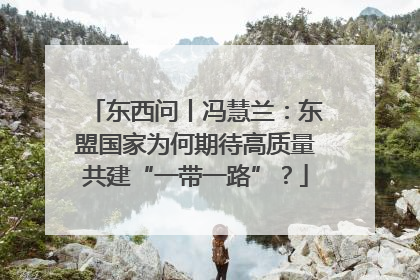 东西问丨冯慧兰：东盟国家为何期待高质量共建“一带一路”？