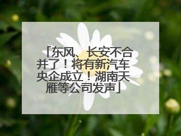 东风、长安不合并了！将有新汽车央企成立！湖南天雁等公司发声