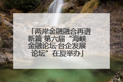 两岸金融融合再谱新篇 第六届“海峡金融论坛·台企发展论坛”在厦举办