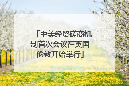 中美经贸磋商机制首次会议在英国伦敦开始举行