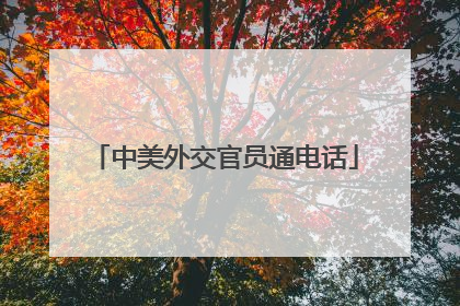 中美外交官员通电话