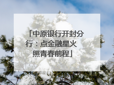 中原银行开封分行：点金融星火 照青春前程