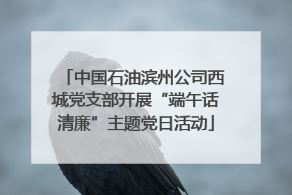 中国石油滨州公司西城党支部开展“端午话清廉”主题党日活动