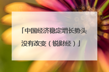 中国经济稳定增长势头没有改变（锐财经）