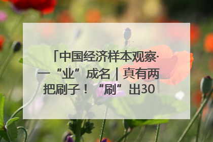 中国经济样本观察·一“业”成名｜真有两把刷子！“刷”出30亿级“颜值经济”