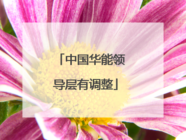 中国华能领导层有调整