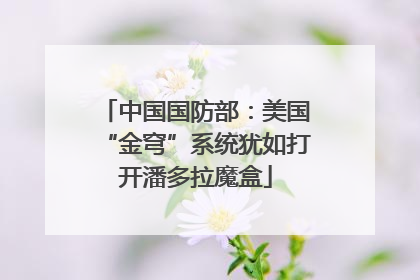 中国国防部：美国“金穹”系统犹如打开潘多拉魔盒