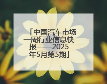 中国汽车市场一周行业信息快报——2025年5月第5期