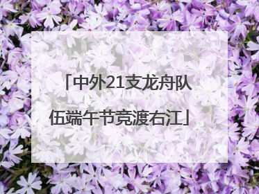 中外21支龙舟队伍端午节竞渡右江