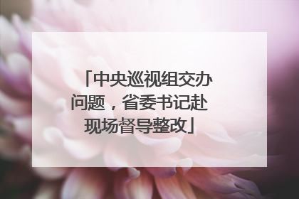 中央巡视组交办问题，省委书记赴现场督导整改