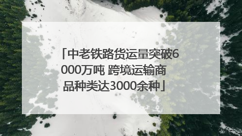 中老铁路货运量突破6000万吨 跨境运输商品种类达3000余种