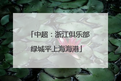 中超：浙江俱乐部绿城平上海海港