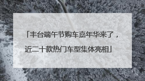 丰台端午节购车嘉年华来了，近二十款热门车型集体亮相