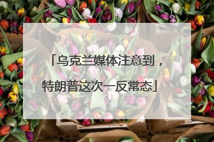 乌克兰媒体注意到，特朗普这次一反常态