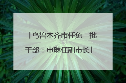 乌鲁木齐市任免一批干部：申琳任副市长