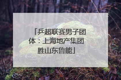 乒超联赛男子团体：上海地产集团胜山东鲁能