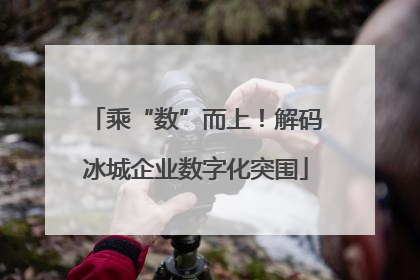 乘“数”而上！解码冰城企业数字化突围