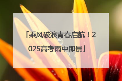 乘风破浪青春启航！2025高考雨中即景