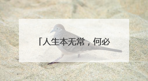 人生本无常，何必求州全 今晚“南哥”对阵“0州” 街头车贴玩花样