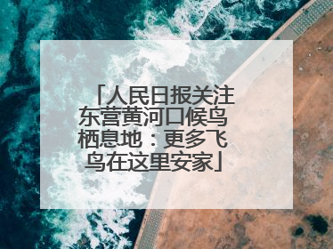 人民日报关注东营黄河口候鸟栖息地：更多飞鸟在这里安家