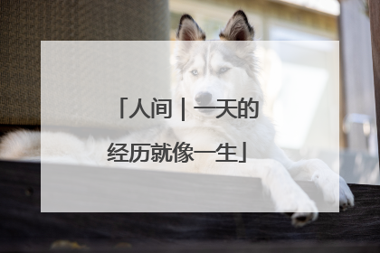 人间｜一天的经历就像一生