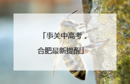 事关中高考，合肥最新提醒