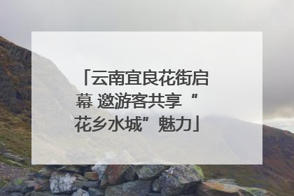 云南宜良花街启幕 邀游客共享“花乡水城”魅力