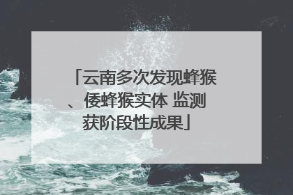 云南多次发现蜂猴、倭蜂猴实体 监测获阶段性成果