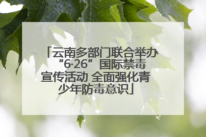 云南多部门联合举办“6·26”国际禁毒宣传活动 全面强化青少年防毒意识