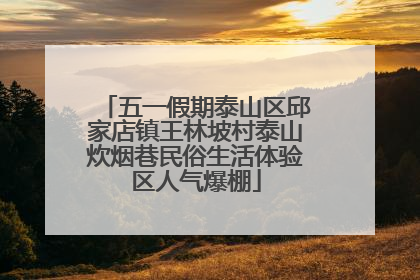 五一假期泰山区邱家店镇王林坡村泰山炊烟巷民俗生活体验区人气爆棚